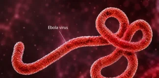 FG Confirms Ebola Case in Abuja, Begins Tracing 44 Contacts