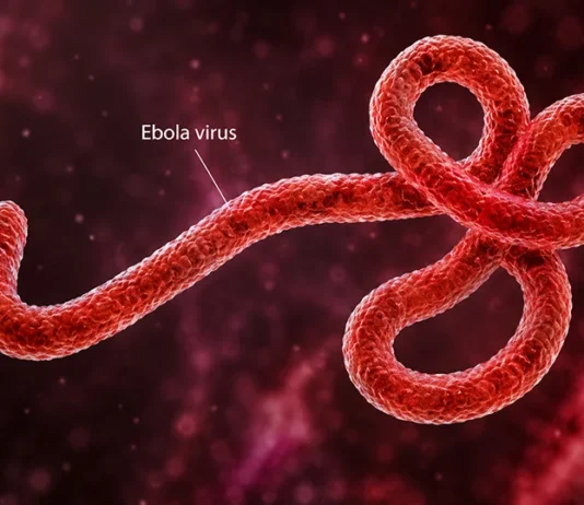FG Confirms Ebola Case in Abuja, Begins Tracing 44 Contacts